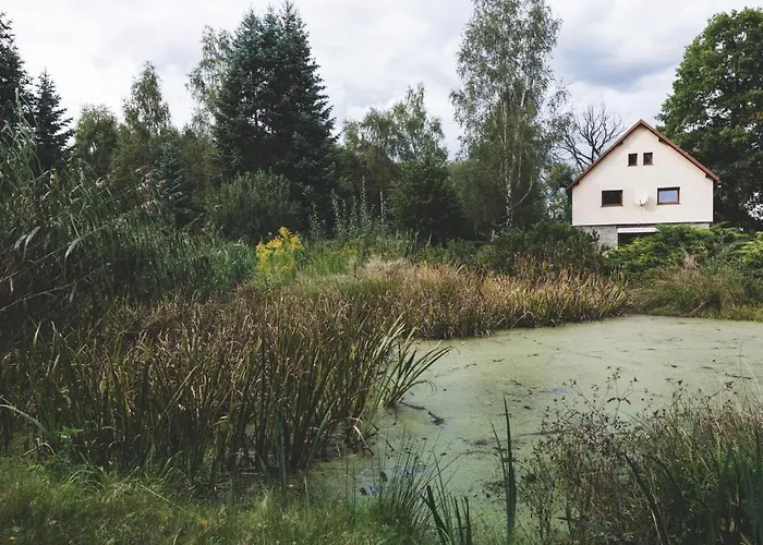 Przystanek Czarne